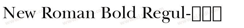 New Roman Bold Regul字体转换